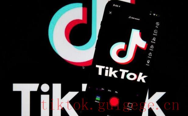 网页版TikTok