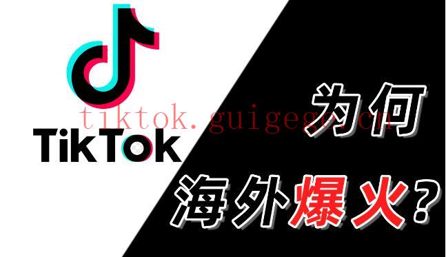 粉来宝TikTok涨粉