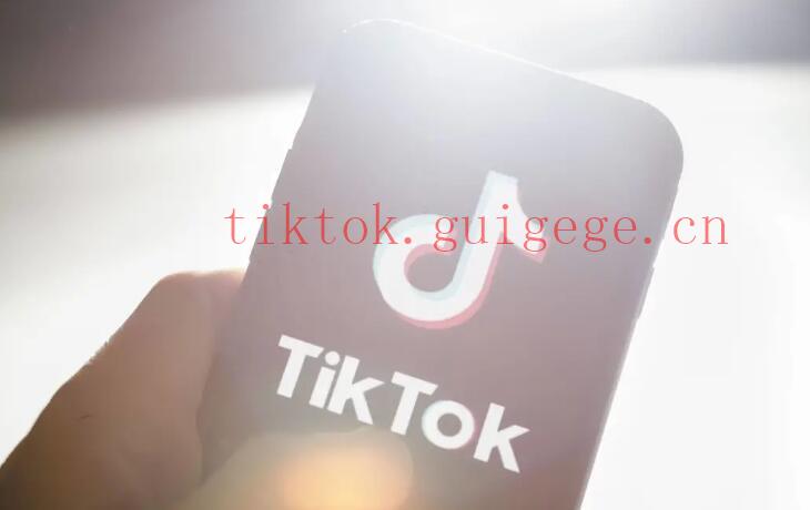 TikTok怎么涨粉最快