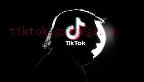 TikTok播放量