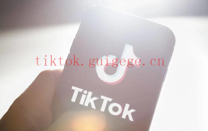 TikTok卖号价格一粉值几何？揭秘粉丝交易背后的利与弊！