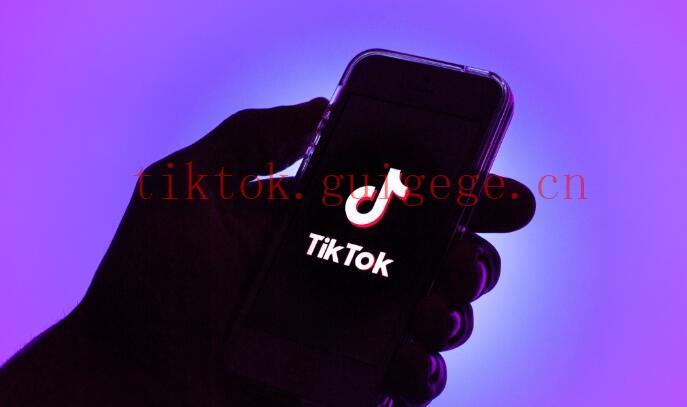 TikTok粉丝