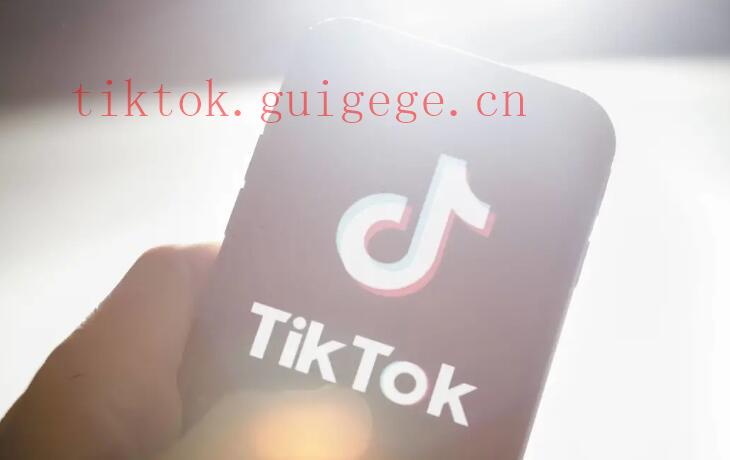 怎么点赞TikTok视频