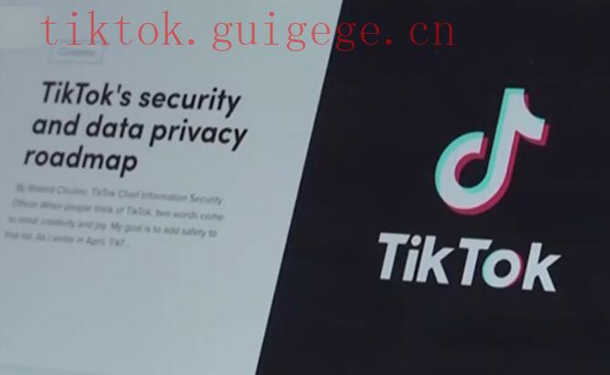 TikTok播放量