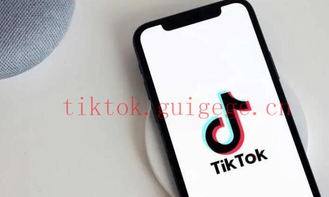 TikTok作品