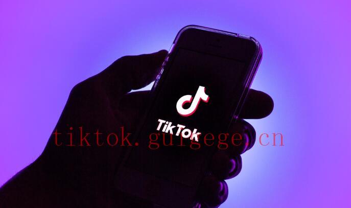 TikTok粉丝M