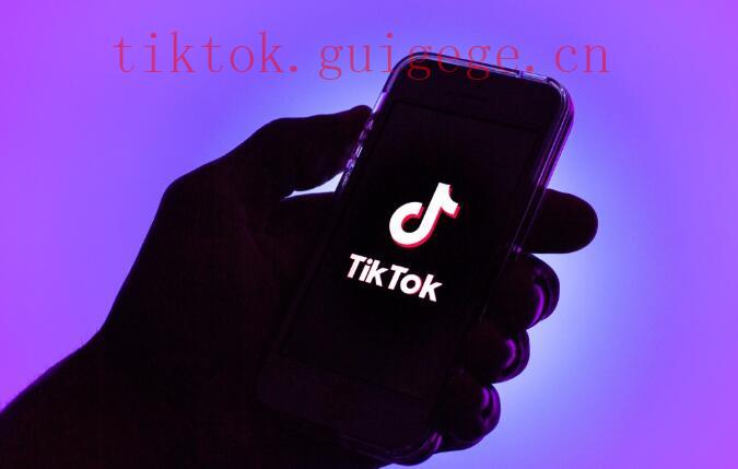 TikTok播放量