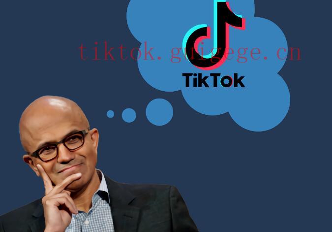 揭秘TikTok账号粉丝价格，了解粉丝交易市场