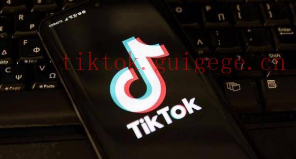 TikTok播放基金