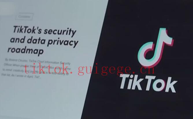 TikTok怎样快速涨粉一千？实用方法助你成为热门创作者