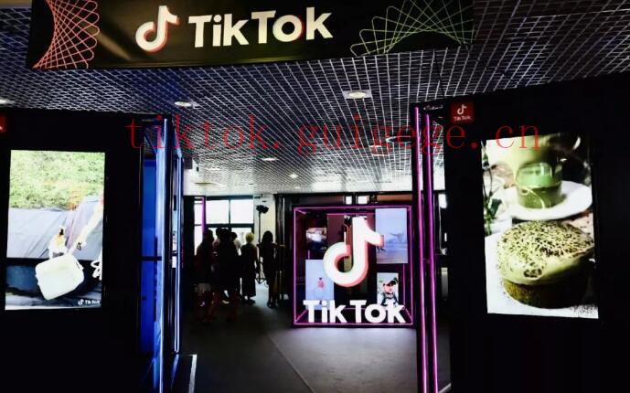 TikTok1万粉