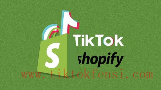 TikTok账号